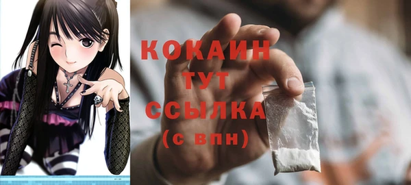 a pvp Каменка