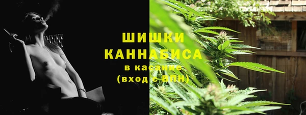 мдпв Инта