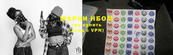 мдпв Инта