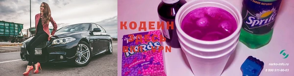 мдпв Инта
