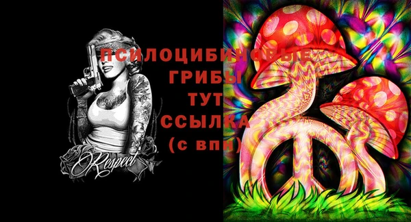 герыч Инсар