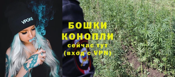 мдпв Инта