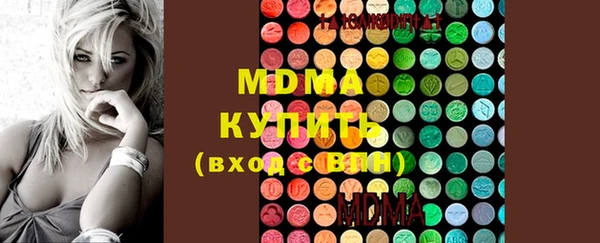 мдпв Инта