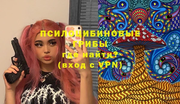 мдпв Инта