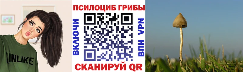Купить где  Кемерово  Псилоцибиновые грибы прущие грибы 
